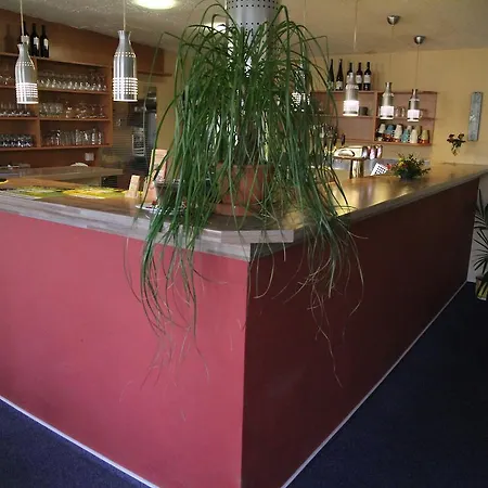 호텔 Parkhotel Opava 오파바
