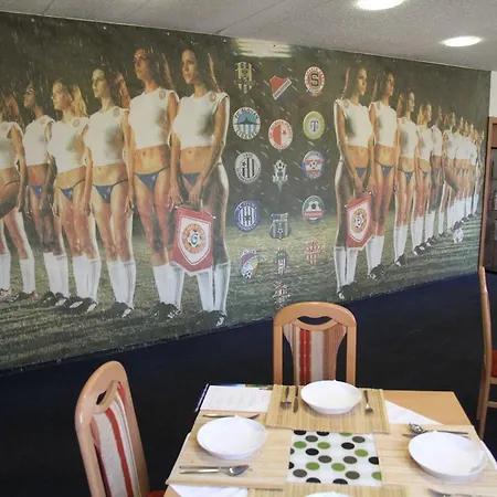 호텔 Parkhotel Opava 4*